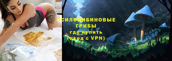 спиды Алзамай